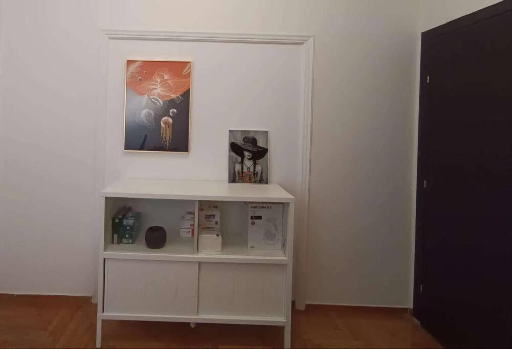 Sunny Two-Bedroom Apartment Next To Panathenaic Stadium Extérieur photo